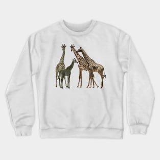 Giraffe - Family on Safari in Kenya / Africa Crewneck Sweatshirt